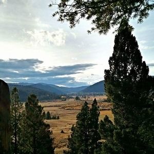 Meet your Posher, Nickie